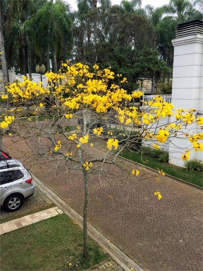 Foto REO379517