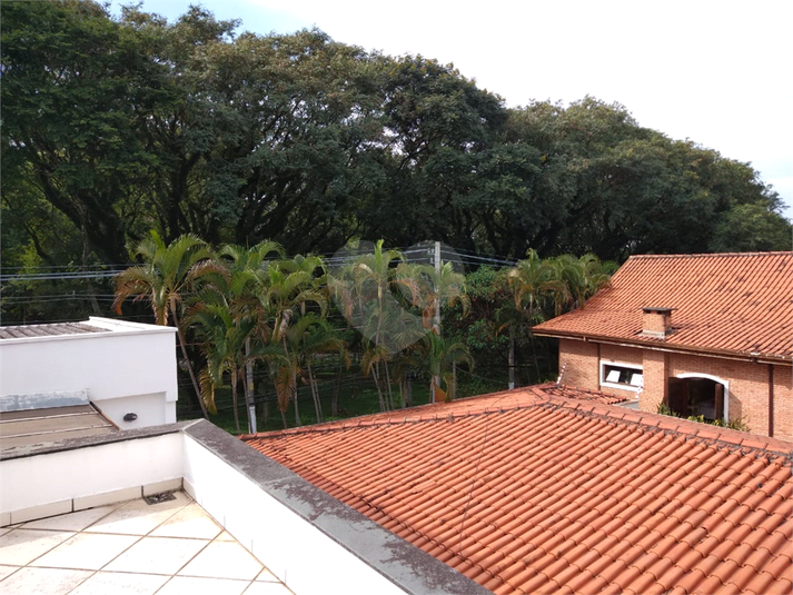 Foto REO379537