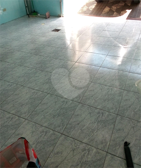 Foto REO379712