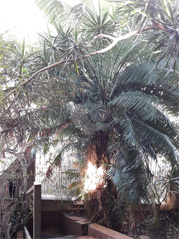 Venda Casa térrea São Paulo Parque São Domingos REO379997 30