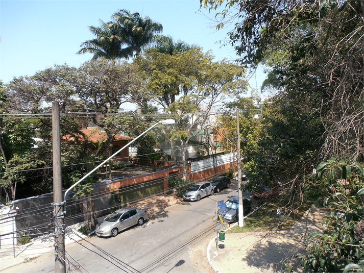 Foto REO379998