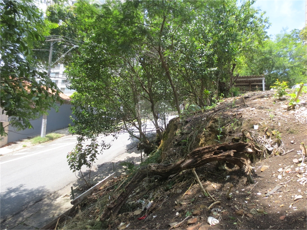 Venda Terreno São Paulo Sumaré REO380045 31