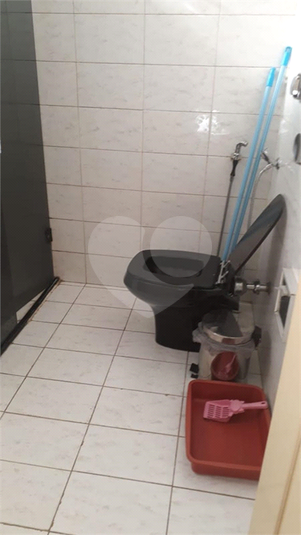 Foto REO380385