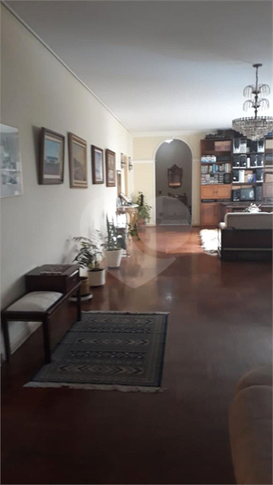Foto REO380385