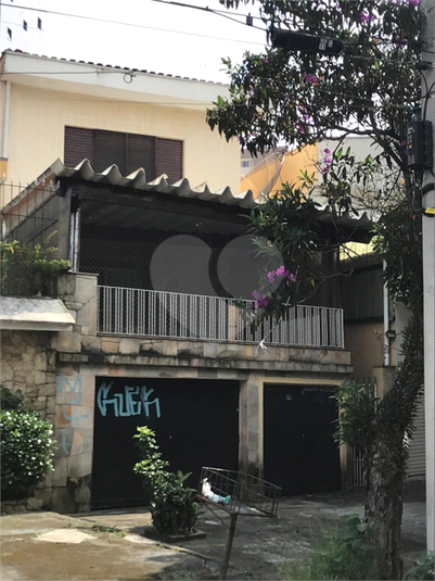 Foto REO380567