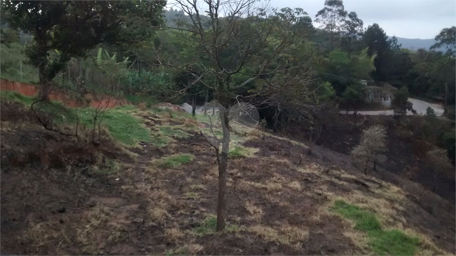 Venda Terreno Santana De Parnaíba Chácaras Boa Vista REO380729 4