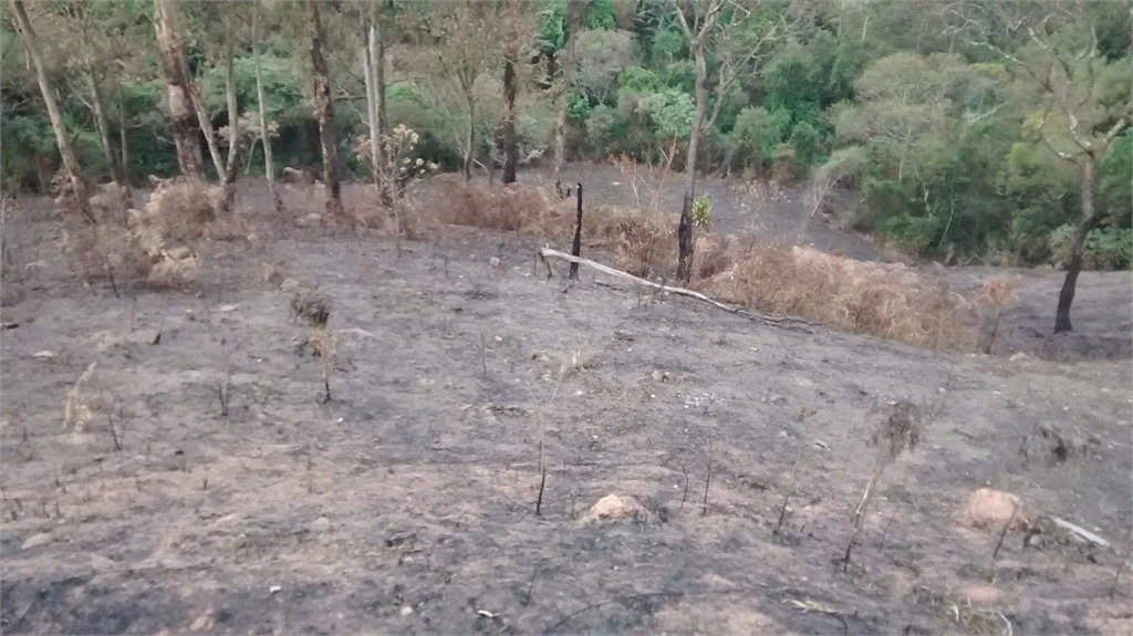 Venda Terreno Santana De Parnaíba Chácaras Boa Vista REO380729 17