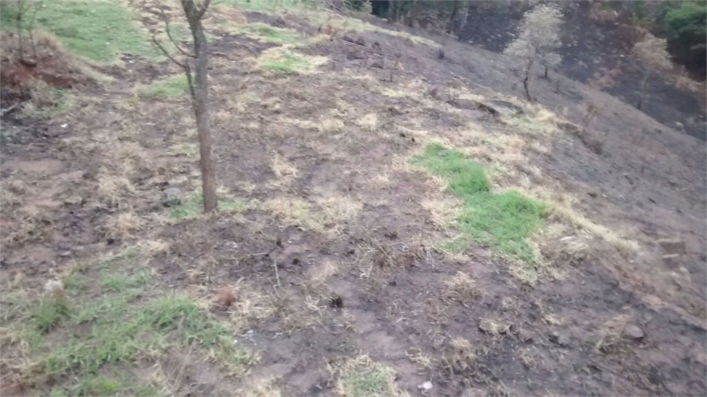 Venda Terreno Santana De Parnaíba Chácaras Boa Vista REO380729 3