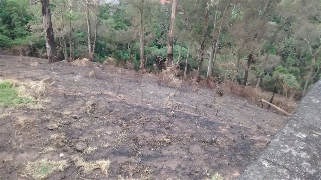 Venda Terreno Santana De Parnaíba Chácaras Boa Vista REO380729 22