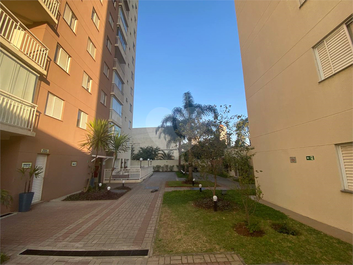 Foto REO380751