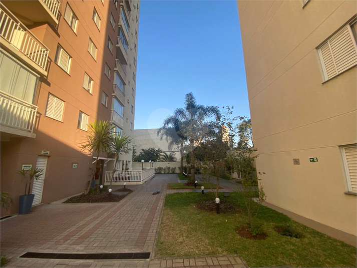 Venda Apartamento São Paulo Brás REO380751 35