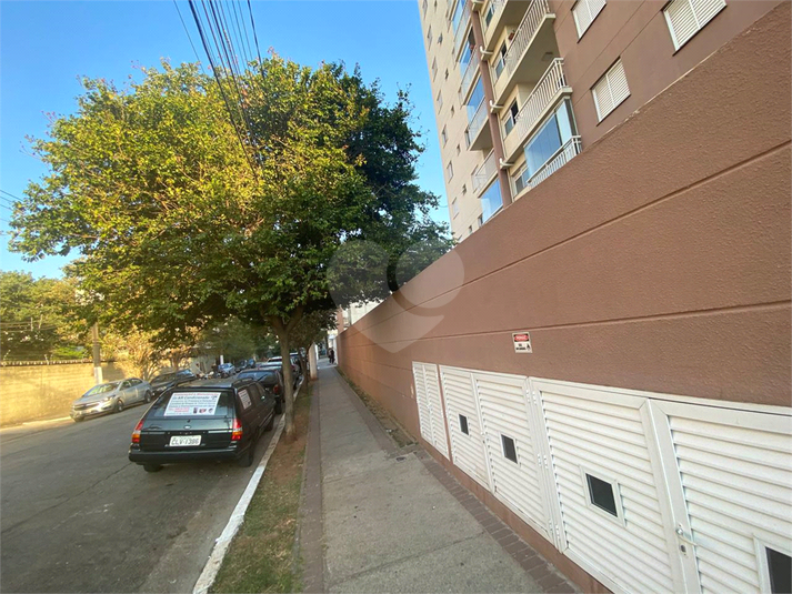 Foto REO380751