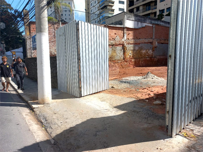 Foto REO381132