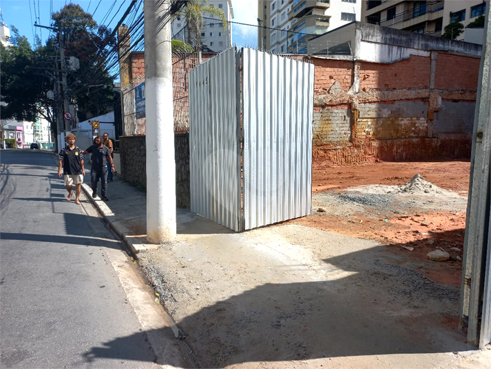 Foto REO381132
