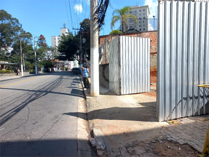 Foto REO381132