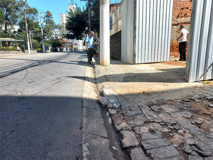 Foto REO381132