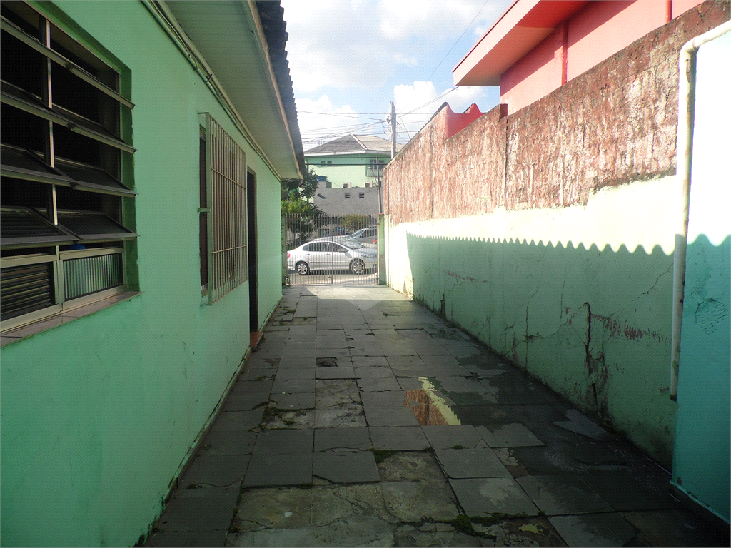 Foto REO381149