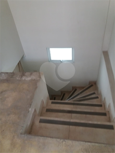 Foto REO381652