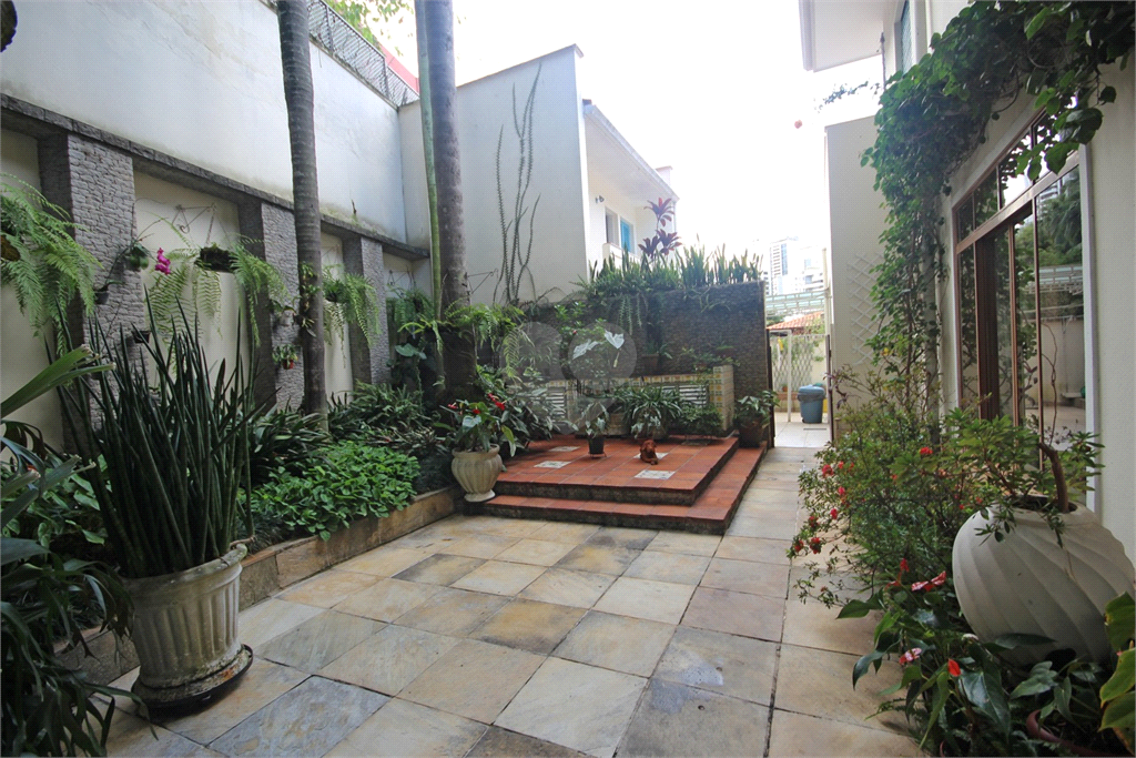 Venda Casa São Paulo Pacaembu REO382096 21