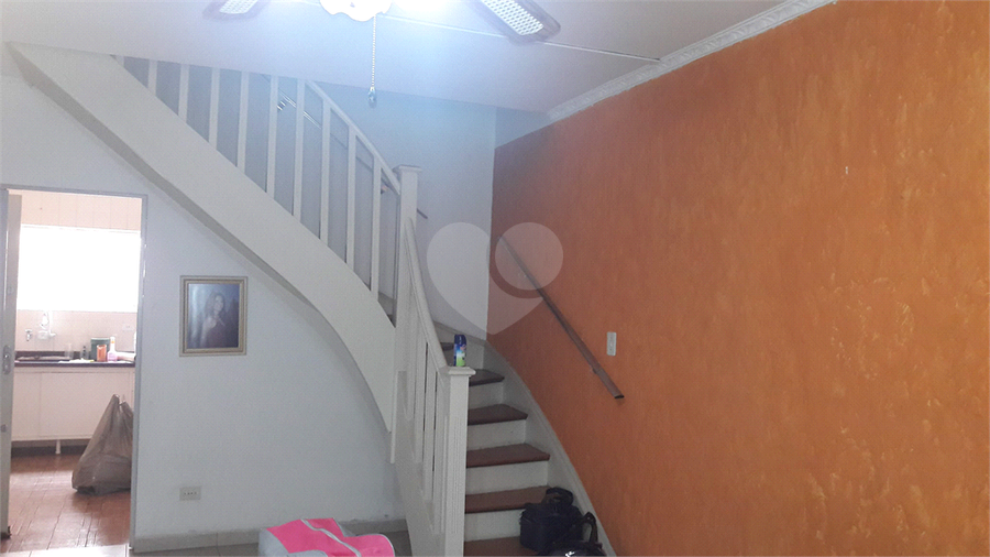 Foto REO382259