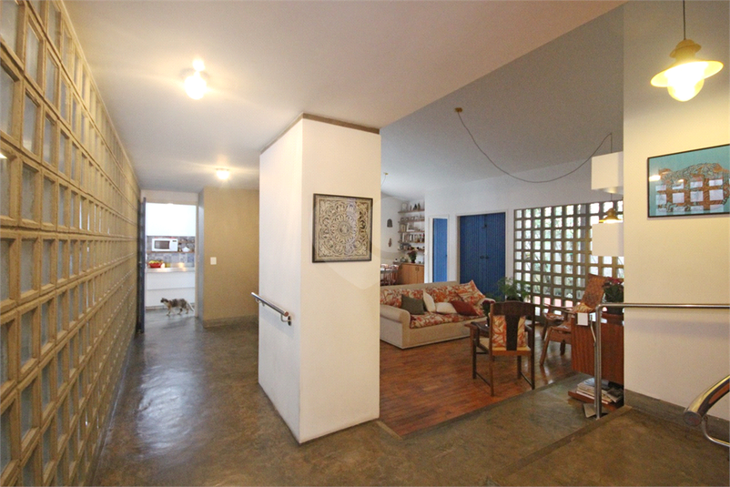 Foto REO382390