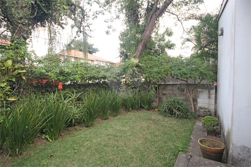 Foto REO382390