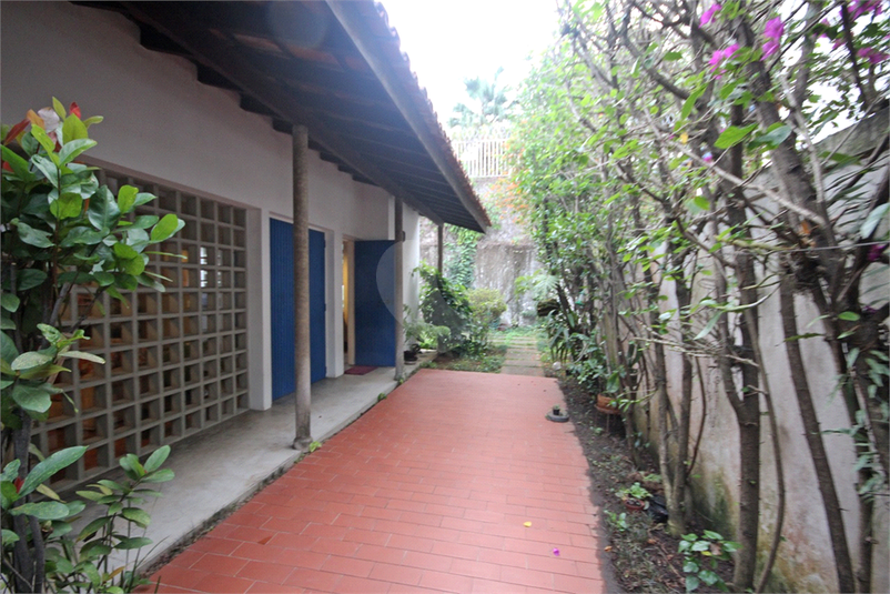 Foto REO382390