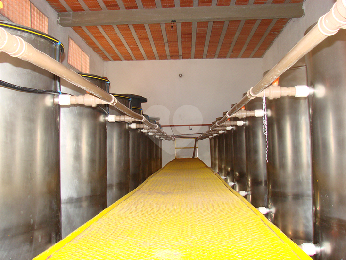 Venda Galpão Cunha Centro REO382598 69