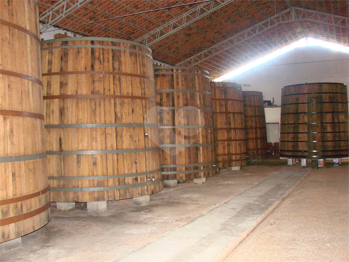 Venda Galpão Cunha Centro REO382598 65