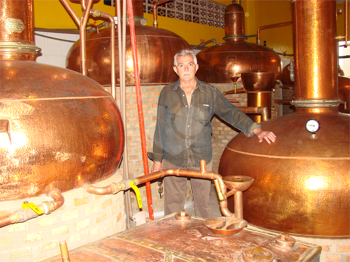 Venda Galpão Cunha Centro REO382598 15