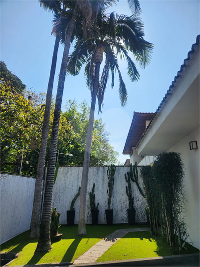 Foto REO382632