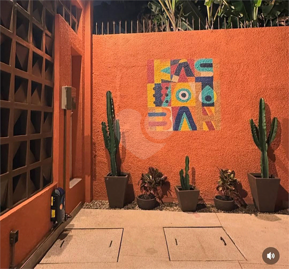 Foto REO382660