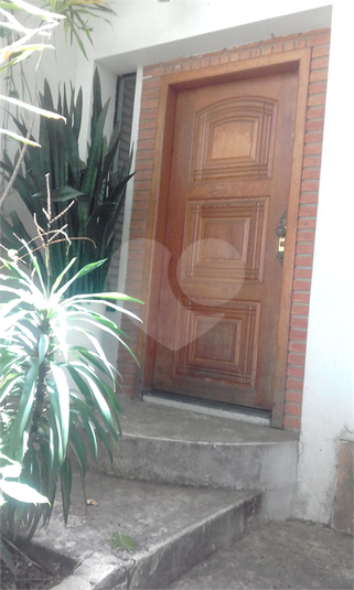 Foto REO382989
