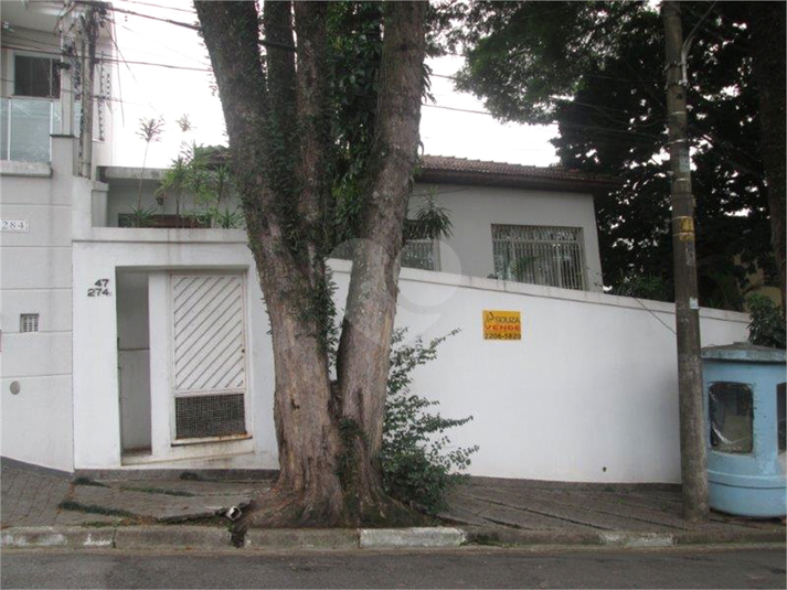 Foto REO382989