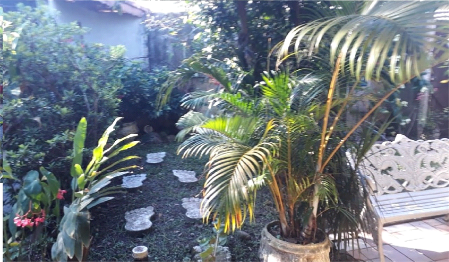 Foto REO383023