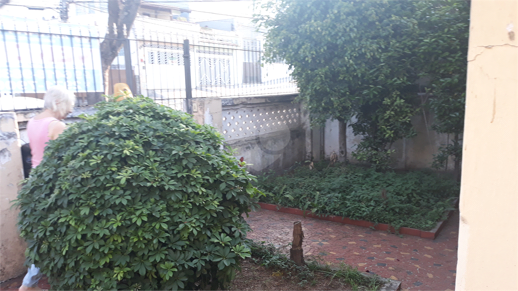 Venda Casa São Paulo Vila Gustavo REO383071 13