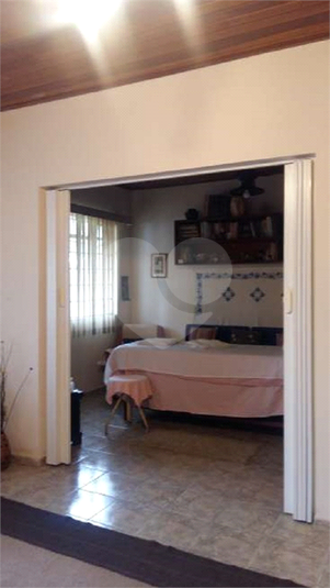 Foto REO383175