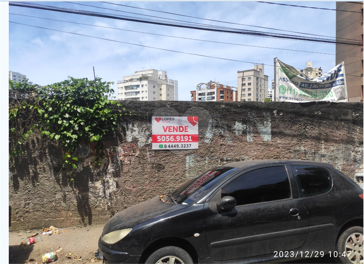 Foto REO3834