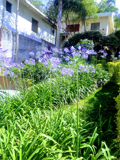 Venda Casa térrea São Paulo Horto Florestal REO383440 14