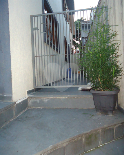 Foto REO383716
