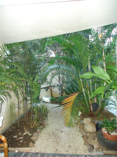Foto REO383716