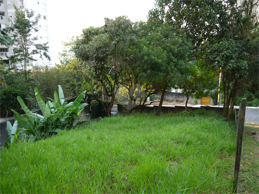 Venda Terreno São Paulo Jardim Petrópolis REO383849 13