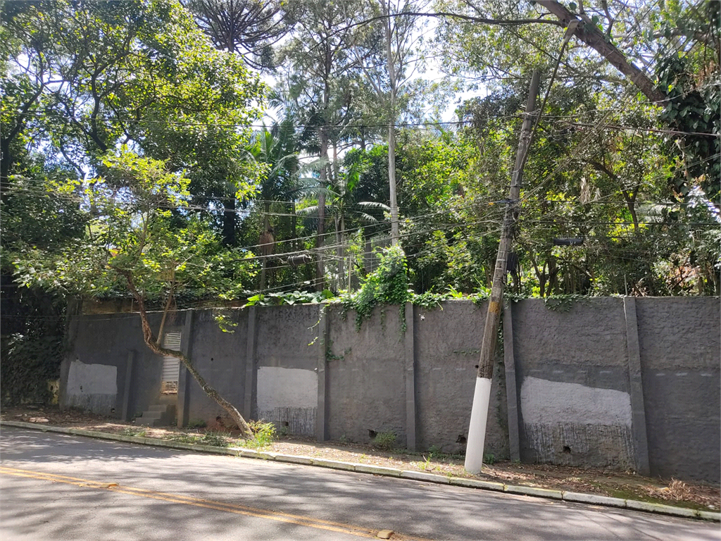 Venda Terreno São Paulo Jardim Petrópolis REO383849 25