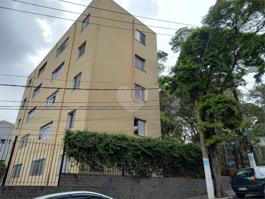 Venda Apartamento São Paulo Vila Albertina REO384413 39