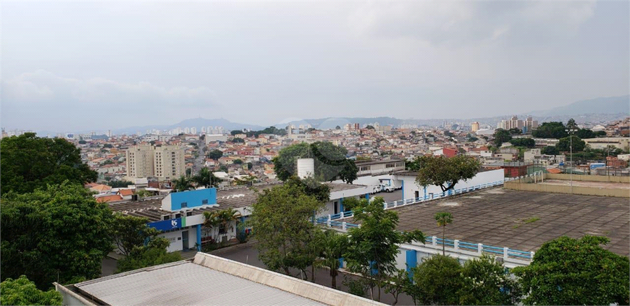 Foto REO384532
