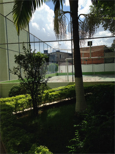 Foto REO384573