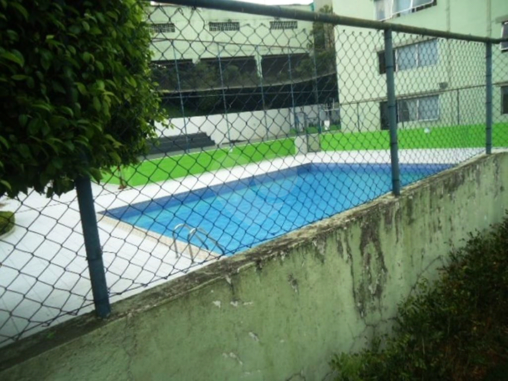 Foto REO384573