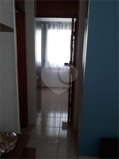 Foto REO384573