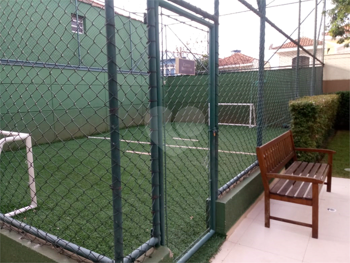 Foto REO384666