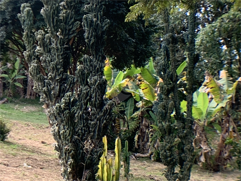 Venda Chácara Araçoiaba Da Serra Centro REO385016 37